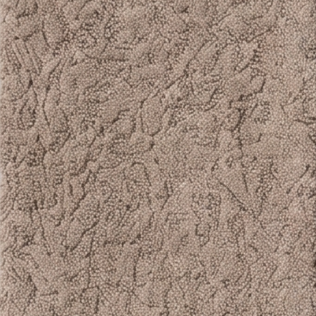 فوطة خشنة - كافيه